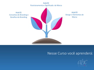 Aula 02
Posicionamento e Significado de Marca

Aula 01
Conceitos de Branding e
Desafios do Branding

Aula 03
Design e Elementos de
Marca

Nesse Curso você aprenderá:
Nessa aula você aprenderá:

 
