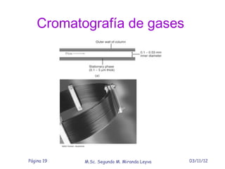 Cromatografía de gases




Página 19   M.Sc. Segundo M. Miranda Leyva   03/11/12
 