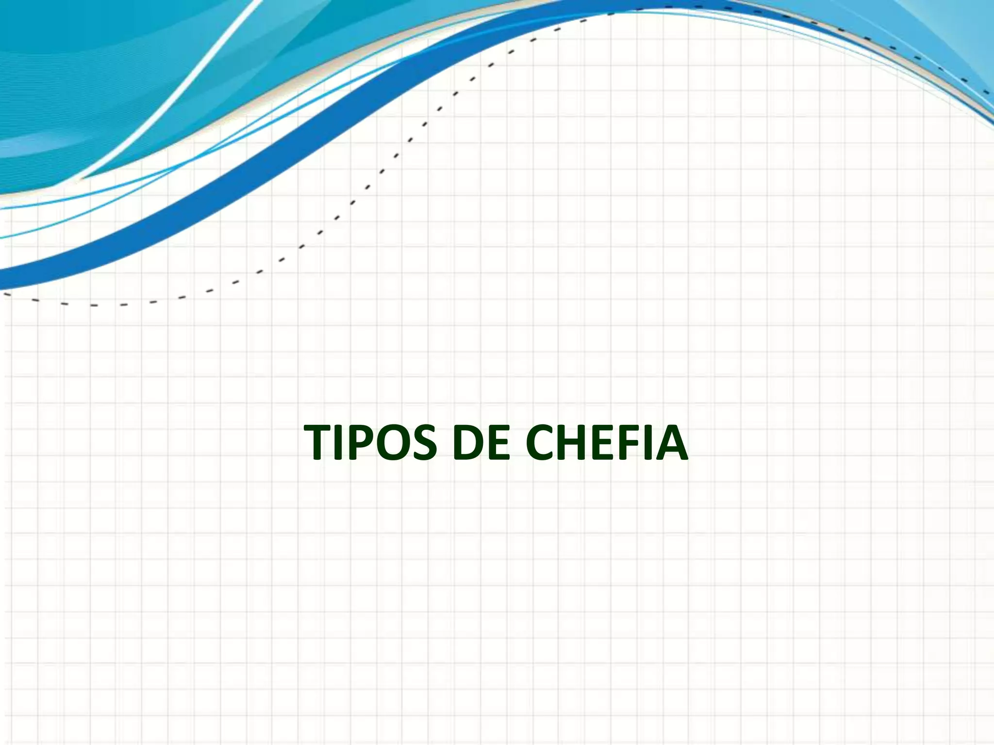 TIPOS DE CHEFIA
 
