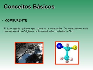Conceitos BásicosConceitos Básicos
• COMBURENTE
É todo agente químico que conserva a combustão. Os comburentes mais
conhecidos são: o Oxigênio e, sob determinadas condições, o Cloro.
 