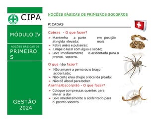 PICADAS
em posição
mais
Cobras - O que fazer?
➢ Mantenha a parte
atingida elevada;
➢ Retire anéis e pulseiras;
➢ Limpe o local com água e sabão;
➢ Leve imediatamente o acidentado para o
pronto- socorro.
CIPA
.
MÓDULO IV
NOÇÕES BÁSICAS DE
PRIMEIRO
S
SOCORROS
NOÇÕES BÁSICAS DE PRIMEIROS SOCORROS
O que não fazer?
➢ Não amarre a perna ou o braço
acidentado;
➢ Não corte e/ou chupe o local da picada;
➢ Não dê álcool para beber.
Aranha/Escorpião - O que fazer?
➢ Coloque compressas quentes para
aliviar a dor
➢ Leve imediatamente o acidentado para
o pronto-socorro.
GESTÃO
2024
 