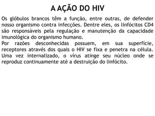A AÇÃO DO HIV
Os glóbulos brancos têm a função, entre outras, de defender
nosso organismo contra infecções. Dentre eles, os linfócitos CD4
são responsáveis pela regulação e manutenção da capacidade
imunológica do organismo humano.
Por razões desconhecidas possuem, em sua superfície,
receptores através dos quais o HIV se fixa e penetra na célula.
Uma vez internalizado, o vírus atinge seu núcleo onde se
reproduz continuamente até a destruição do linfócito.
 