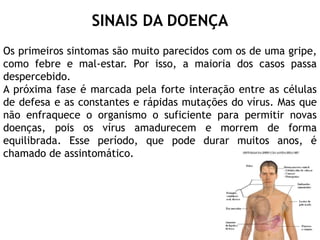 SINAIS DA DOENÇA
Os primeiros sintomas são muito parecidos com os de uma gripe,
como febre e mal-estar. Por isso, a maioria dos casos passa
despercebido.
A próxima fase é marcada pela forte interação entre as células
de defesa e as constantes e rápidas mutações do vírus. Mas que
não enfraquece o organismo o suficiente para permitir novas
doenças, pois os vírus amadurecem e morrem de forma
equilibrada. Esse período, que pode durar muitos anos, é
chamado de assintomático.
 