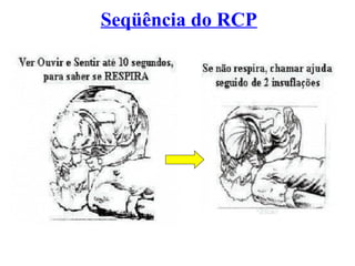 Seqüência do RCP
 