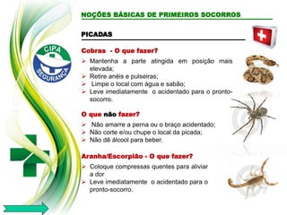 PICADAS
Cobras - O que fazer?
 Mantenha a parte atingida em posição mais
elevada;
 Retire anéis e pulseiras;
 Limpe o local com água e sabão;
 Leve imediatamente o acidentado para o pronto-
socorro.
O que não fazer?
 Não amarre a perna ou o braço acidentado;
 Não corte e/ou chupe o local da picada;
 Não dê álcool para beber.
Aranha/Escorpião - O que fazer?
 Coloque compressas quentes para aliviar
a dor
 Leve imediatamente o acidentado para o
pronto-socorro.
NOÇÕES BÁSICAS DE PRIMEIROS SOCORROS
 