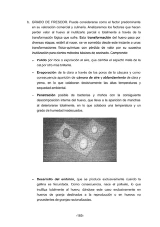 b. GRADO DE FRESCOR. Puede considerarse como el factor predominante 
en su valoración comercial y culinaria. Analizaremos los factores que hacen 
perder valor al huevo al inutilizarlo parcial o totalmente a través de la 
transformación lógica que sufre. Esta transformación del huevo pasa por 
diversas etapas; estéril al nacer, se ve sometido desde este instante a unas 
transformaciones físico­químicas 
con pérdida de valor por su sucesiva 
inutilización para ciertos métodos básicos de cocinado. Comprende: 
– Pulido por roce o exposición al aire, que cambia el aspecto mate de la 
-165- 
cal por otro más brillante. 
– Evaporación de la clara a través de los poros de la cáscara y como 
consecuencia aparición de cámara de aire y ablandamiento de clara y 
yema, en lo que colaboran decisivamente las altas temperaturas y 
sequedad ambiental. 
– Penetración posible de bacterias y mohos con la consiguiente 
descomposición interna del huevo, que lleva a la aparición de manchas 
al deteriorarse totalmente, en lo que colabora una temperatura y un 
grado de humedad inadecuados. 
– Desarrollo del embrión, que se produce exclusivamente cuando la 
gallina es fecundada. Como consecuencia, nace el polluelo, lo que 
inutiliza totalmente al huevo, dándose este caso exclusivamente en 
huevos de granja destinados a la reproducción o en huevos no 
procedentes de granjas racionalizadas. 
 