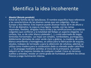 Identifica la idea incoherente
• Abedul (Betula pendula)
  Árbol de la familia de las betuláceas. El nombre específico hace referencia
  a las características de las jóvenes ramas que son colgantes. Vive en
  Europa y Asia Menor. Esta especie puede alcanzar hasta 30 m de altura y
  70 cm de diámetro; la copa es muy ligera, ovoide, con las ramas
  separadas, flexibles, dirigidas hacia arriba y las ramificaciones secundarias
  colgantes que confieren a la totalidad del follaje un aspecto elegante. La
  corteza, lisa, es de color blanco plateado (...), y está adornada de largas
  lenticelas horizontales. Las hojas son simples, romboidales, puntiagudas,
  doblemente dentadas de color verde claro y glabras. La madera, de color
  blanco amarillento y homogénea, se utiliza para la fabricación de esquíes,
  zócalos, trabajos de torneado y para la obtención de celulosa; además se
  utiliza como madera para la combustión dado su elevado poder calorífico
  (...). Se propaga mediante semillas al inicio de la primavera. Se puede
  adquirir en las mejores tiendas de cualquier ciudad. Crece en terrenos
  sueltos y aireados; resiste un cierto grado de humedad; prefiere los climas
  frescos y exige iluminación intensa.
 