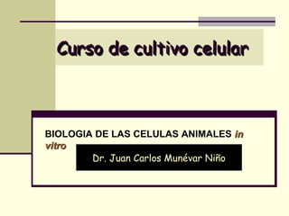 Curso de cultivo celular
  Curso de cultivo



BIOLOGIA DE LAS CELULAS ANIMALES in
vitro
        Dr. Juan Carlos Munévar Niño
 