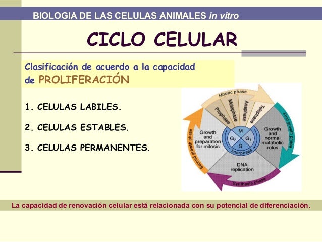 Curso para arrumar celular