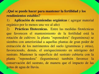 ¿Qué se puede hacer para mantener la fertilidad y los 
rendimientos estables?
1)    Aplicación de enmiendas orgánicas ( agregar material 
orgánico por lo menos una vez al año)
2)    Prácticas fitotecnicas.  Entre las medidas fitotécnicas 
que  favorecen  el  mantenimiento  de  la  fertilidad  está  la 
rotación de cultivos: la planta "reponedora" (leguminosa) se 
siembra con anterioridad a aquellas plantas de gran poder de 
extracción de los nutrimentos del suelo (gramíneas y otras), 
favoreciendo,  demás,  el  enriquecimiento  en  nitrógeno  del 
sustrato.  Mantener  la  superficie  del  sustrato  cubierta  con  la 
planta  "reponedora"  (leguminosa)  también  favorece  la 
conservación  del  sustrato,  de  manera  que  el  impacto  de  las 
gotas de agua de lluvia.
 