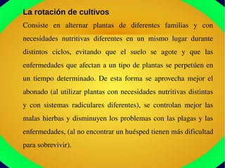 La rotación de cultivos
Consiste  en  alternar  plantas  de  diferentes  familias  y  con 
necesidades  nutritivas  diferentes  en  un  mismo  lugar  durante 
distintos  ciclos,  evitando  que  el  suelo  se  agote  y  que  las 
enfermedades que afectan a un tipo de plantas se perpetúen en 
un  tiempo  determinado.  De  esta  forma  se  aprovecha  mejor  el 
abonado (al utilizar plantas con necesidades nutritivas distintas 
y  con  sistemas  radiculares  diferentes),  se  controlan  mejor  las 
malas hierbas y disminuyen los problemas con las plagas y las 
enfermedades, (al no encontrar un huésped tienen más dificultad 
para sobrevivir).
 
