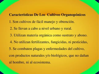Características De Los  Cultivos Organopónicos 
1. Son cultivos de fácil manejo y obtención.
 2. Se llevan a cabo a nivel urbano y rural.
 3. Utilizan materia orgánica como sustrato y abono.
 4. No utilizan fertilizantes, fungicidas, ni pesticidas,
5. Se combaten plagas y enfermedades del cultivo, 
con productos naturales y/o biológicos, que no dañan 
al hombre, ni al ecosistema.
 