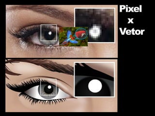 Pixel
x
Vetor
 