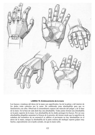 122
LAMINA 78. Emblocamiento de la mano
Los huesos y tendones del dorso de la mano son superficiales; los de la palma y del interior de
los dedos están cubiertos por la carne. He emblocado estas almohadillas para que os
familiaricéis con ellas. Observad el extraordinario espesor del músculo del pulgar y de la base
de la mano. En la base de cada dedo hay una almohadilla. Todas juntas forman una almohadilla
en la parte superior de la mano. Las almohadillas de los dedos protegen los huesos. Por ser esas
almohadillas plegables aumentan la firmeza de la presión, del mismo modo que la superficie de
rodadura del neumático de un automóvil se adhiere al pavimento no hay almohadillas en el
dorso de la mano, aunque la almohadilla de la parte externa del meñique soporta golpes muy
fuertes, especialmente con el puño cerrado, sin que la mano sufra.
 
