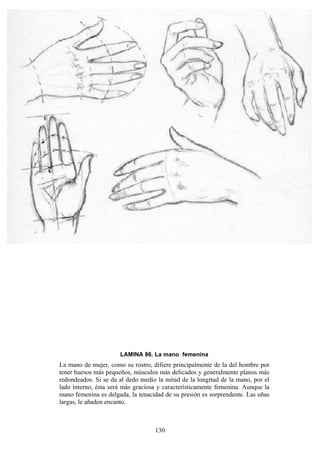 130
LAMINA 86. La mano femenina
La mano de mujer, como su rostro, difiere principalmente de la del hombre por
tener huesos más pequeños, músculos más delicados y generalmente planos más
redondeados. Si se da al dedo medio la mitad de la longitud de la mano, por el
lado interno, ésta será más graciosa y característicamente femenina. Aunque la
mano femenina es delgada, la tenacidad de su presión es sorprendente. Las uñas
largas, le añaden encanto.
 