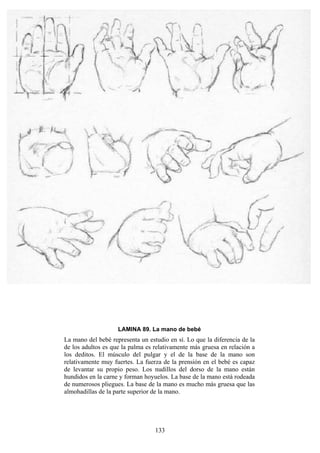 133
LAMINA 89. La mano de bebé
La mano del bebé representa un estudio en sí. Lo que la diferencia de la
de los adultos es que la palma es relativamente más gruesa en relación a
los deditos. El músculo del pulgar y el de la base de la mano son
relativamente muy fuertes. La fuerza de la prensión en el bebé es capaz
de levantar su propio peso. Los nudillos del dorso de la mano están
hundidos en la carne y forman hoyuelos. La base de la mano está rodeada
de numerosos pliegues. La base de la mano es mucho más gruesa que las
almohadillas de la parte superior de la mano.
 