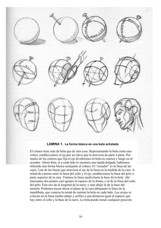 16
LAMINA 1. La forma básica es una bola achatada
El cráneo tiene más de bola que de otra cosa. Representando la bola como una
esfera, establezcamos el eje por un clavo que la atraviesa de parte a parte. Por
medio de los centros que fija el eje dividiremos la bola en cuartos y luego en el
ecuador. Ahora bien, si a cada lado le sacamos una tajada delgada, habremos
obtenido una forma básica semejante al cráneo. El “ecuador” es la línea de las
cejas. Una de las líneas que atraviesa el eje de la línea en la medida de la cara. A
mitad de camino entre la línea del ceño y el eje, establecemos la línea del pelo o
parte superior de la cara. Tiramos la línea media hasta la base de la bola. Ahí
marcamos dos puntos casi iguales al espacio de la frente, o al de la línea del ceño
del pelo. Esto nos da la longitud de la nariz, y más abajo la de la base del
mentón. Podemos trazar ahora el plano de la cara dibujando la línea de la
mandíbula, que conecta la mitad de camino la bola en cada lado. Las orejas se
colocan en la línea media (abajo y arriba) a una distancia igual al espacio que
hay entre el ceño y la base de la nariz. La bola puede tomar cualquier posición.
 