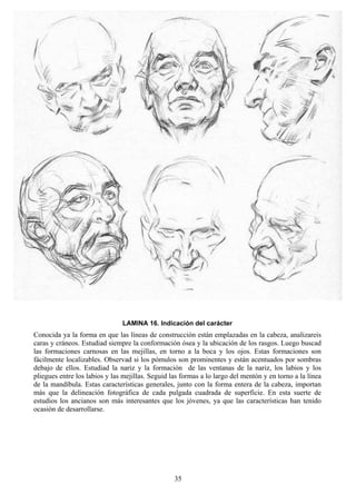35
LAMINA 16. Indicación del carácter
Conocida ya la forma en que las líneas de construcción están emplazadas en la cabeza, analizareis
caras y cráneos. Estudiad siempre la conformación ósea y la ubicación de los rasgos. Luego buscad
las formaciones carnosas en las mejillas, en torno a la boca y los ojos. Estas formaciones son
fácilmente localizables. Observad si los pómulos son prominentes y están acentuados por sombras
debajo de ellos. Estudiad la nariz y la formación de las ventanas de la nariz, los labios y los
pliegues entre los labios y las mejillas. Seguid las formas a lo largo del mentón y en torno a la línea
de la mandíbula. Estas características generales, junto con la forma entera de la cabeza, importan
más que la delineación fotográfica de cada pulgada cuadrada de superficie. En esta suerte de
estudios los ancianos son más interesantes que los jóvenes, ya que las características han tenido
ocasión de desarrollarse.
 