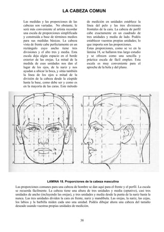 38
Las medidas y las proporciones de las
cabezas son variadas. No obstante, le
será más conveniente al artista recordar
una escala de proporciones simplificada
y construida a base de términos medios
para sus medidas básicas. La cabeza
vista de frente cabe perfectamente en un
rectángulo cuyo ancho tiene tres
divisiones y el alto tres y media. Esta
escala deja algún espacio en el borde
exterior de las orejas. La mitad de la
medida de esas unidades nos dan el
lugar de los ojos, de la nariz y nos
ayudan a ubicar la boca, y sitúa también
la línea de los ojos a mitad de la
división de la cabeza desde la cúspide
hasta la base, como debe ser y como es
en la mayoría de las caras. Este método
de medición en unidades establece la
línea del pelo y las tres divisiones
frontales de la cara. La cabeza de perfil
cabe exactamente en un cuadrado de
tres unidades y media de lado. Podéis
establecer vuestras propias unidades; lo
que importa son las proporciones.
Estas proporciones, como se ve en la
lámina 18, se hallaron tras largo estudio
y se ofrecen como una sencilla y
práctica escala de fácil empleo. Esta
escala es muy conveniente para el
aproche de la bola y del plano.
LA CABEZA COMUN
LAMINA 18. Proporciones de la cabeza masculina
Las proporciones comunes para una cabeza de hombre se dan aquí para el frente y el perfil. La escala
se recuerda fácilmente. La cabeza tiene una altura de tres unidades y media (optativo), casi tres
unidades de ancho (incluyendo las orejas), y tres unidades y media desde la punta de la nariz hasta la
nunca. Las tres unidades dividen la cara en frente, nariz y mandíbula. Las orejas, la nariz, las cejas,
los labios y la barbilla miden cada uno una unidad. Podéis dibujar ahora una cabeza del tamaño
deseado usando vuestras propias unidades de medición.
 