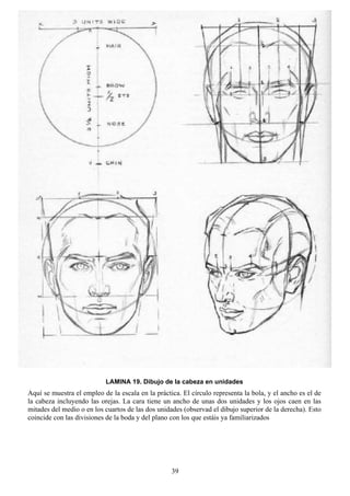 39
LAMINA 19. Dibujo de la cabeza en unidades
Aquí se muestra el empleo de la escala en la práctica. El círculo representa la bola, y el ancho es el de
la cabeza incluyendo las orejas. La cara tiene un ancho de unas dos unidades y los ojos caen en las
mitades del medio o en los cuartos de las dos unidades (observad el dibujo superior de la derecha). Esto
coincide con las divisiones de la boda y del plano con los que estáis ya familiarizados
 