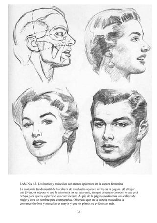 72
LAMINA 42. Los huesos y músculos son menos aparentes en la cabeza femenina
La anatomía fundamental de la cabeza de muchacha aparece arriba en la página. Al dibujar
una joven, es necesario que la anatomía no sea aparente, aunque debemos conocer lo que está
debajo para que la superficie sea convincente. Al pie de la página mostramos una cabeza de
mujer y otra de hombre para compararlas. Observad que en la cabeza masculina la
construcción ósea y muscular es mayor y que los planos se evidencian más.
 