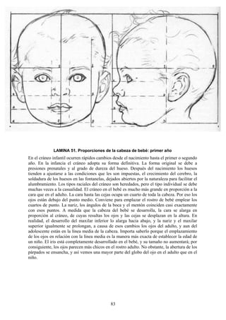 83
LAMINA 51. Proporciones de la cabeza de bebé: primer año
En el cráneo infantil ocurren rápidos cambios desde el nacimiento hasta el primer o segundo
año. En la infancia el cráneo adopta su forma definitiva. La forma original se debe a
presiones prenatales y al grado de dureza del hueso. Después del nacimiento los huesos
tienden a ajustarse a las condiciones que les son impuestas, el crecimiento del cerebro, la
soldadura de los huesos en las fontanelas, dejados abiertos por la naturaleza para facilitar el
alumbramiento. Los tipos raciales del cráneo son heredados, pero el tipo individual se debe
muchas veces a la casualidad. El cráneo en el bebé es mucho más grande en proporción a la
cara que en el adulto. La cara hasta las cejas ocupa un cuarto de toda la cabeza. Por eso los
ojos están debajo del punto medio. Conviene para emplazar el rostro de bebé emplear los
cuartos de punto. La nariz, los ángulos de la boca y el mentón coinciden casi exactamente
con esos puntos. A medida que la cabeza del bebé se desarrolla, la cara se alarga en
proporción al cráneo, de cuyas resultas los ojos y las cejas se desplazan en la altura. En
realidad, el desarrollo del maxilar inferior lo alarga hacia abajo, y la nariz y el maxilar
superior igualmente se prolongan, a causa de esos cambios los ojos del adulto, y aun del
adolescente están en la línea media de la cabeza. Importa saberlo porque el emplazamiento
de los ojos en relación con la línea media es la manera más exacta de establecer la edad de
un niño. El iris está completamente desarrollado en el bebé, y su tamaño no aumentará; por
consiguiente, los ojos parecen más chicos en el rostro adulto. No obstante, la abertura de los
párpados se ensancha, y así vemos una mayor parte del globo del ojo en el adulto que en el
niño.
 