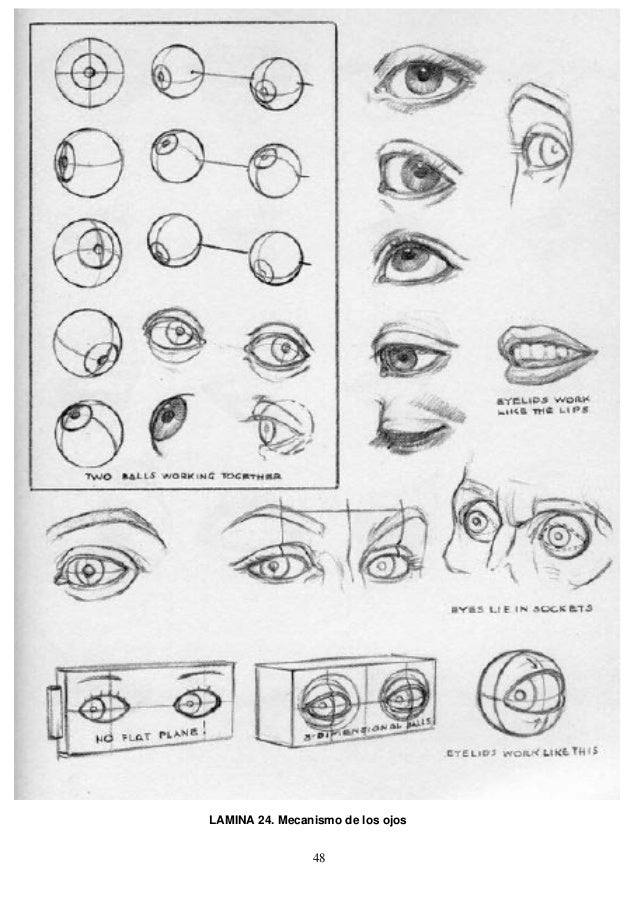 view good questions for math teaching why ask them