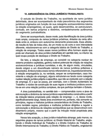 6 2 M aurício G odinho D elgado 
VI. ABRANGÊNCIA DA ÁREA JURÍDICO-TRABALHISTA 
O estudo do Direito do Trabalho, na qualidade de ramo jurídico 
delimitado, deve ser acompanhado da visão panorâmica dos segmentos 
jurídicos originados em função de sua categoria socioeconômica básica 
(a relação empregatícia), os quais, após desenvolvidos, se estruturaram, 
contudo, em ramos próprios e distintos, verdadeiramente autônomos 
do segmento justrabalhista. 
Deve ser acompanhado, desse modo, pela identificação de área jurídica 
mais ampla, composta de ramos jurídicos próximos, dotados de certa afini­dade 
entre si, embora com autonomia claramente preservada. Essa afinida­de 
resulta do fato de todos eles, de um modo ou de outro e com intensidade 
diferente, relacionarem-se com a categoria básica do Direito do Trabalho, a 
relação de emprego. Todos esses ramos jurídicos afins formam aquilo que 
pode ser chamado de área jurídico-trabalhista em sentido lato, no interior da 
qual ocupa posição de destaque o Direito do Trabalho. 
De fato, a relação de emprego, ao consistir na categoria nuclear do 
sistema produtivo capitalista, ganhou notável potencial de criação de relações 
socioeconômicas e jurídicas correlatas, a ela, de algum modo, vinculadas, 
dando origem a um diversificado número de ramos jurídicos próximos e 
associados. Embora todos esses ramos referenciem-se, inquestionavelmente, 
à relação empregatícia (e, na verdade, sequer se compreendam, caso ine­xistente 
a relação de emprego), alguns estruturam-se tendo como categoria 
nuclear relação jurídica própria e específica, que não se confunde com a relação 
de emprego. É o que se passa, por exemplo, com o Direito Acidentário do 
Trabalho: o núcleo de construção de suas regras e institutos jurídicos encon­tra- 
se em uma relação jurídica complexa, de que participa também o Estado. 
A área justrabalhista, no sentido lato — compreendida como a área de 
estruturação e dinâmica de ramos jurídicos especializados construídos a partir 
da indução básica propiciada pela relação de emprego —, é, desse modo, 
significativamente larga. Nesta área encontram-se, portanto, não somente os 
princípios, regras e institutos jurídicos característicos do Direito do Trabalho, 
como também regras, princípios e institutos jurídicos dirigidos a regular a 
estruturação e dinâmica de relações sociojurídicas que se desenvolvem com 
dinamismo próprio, mesmo que a partir da indução inicial propiciada pela 
relação empregatícia. 
Nessa lata acepção, a área jurídico-trabalhista abrange, pelo menos, os 
seguintes grupos de ramos jurídicos: a) Direito Material do Trabalho, englo­bando 
o Direito Individual do Trabalho e o Direito Coletivo do Trabalho; b) 
Direito Internacional do Trabalho; c) Direito Público do Trabalho, englobando 
 