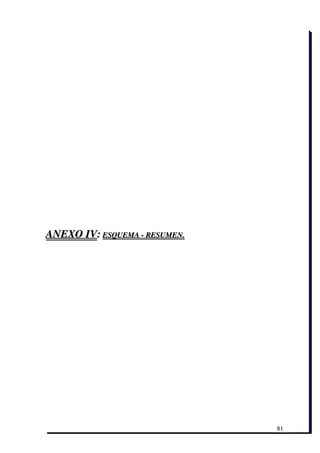 ANEXO IV: ESQUEMA ­ RESUMEN.




                               81
 