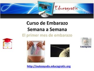 Curso de Embarazo
Semana a Semana
El primer mes de embarazo
http://autoayuda.educagratis.org
 
