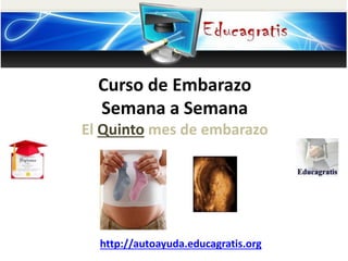 Curso de Embarazo
Semana a Semana
El Quinto mes de embarazo
http://autoayuda.educagratis.org
 