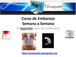 Curso de Embarazo
Semana a Semana
El segundo mes de embarazo
http://autoayuda.educagratis.org
 