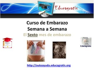 Curso de Embarazo
Semana a Semana
El Sexto mes de embarazo
http://autoayuda.educagratis.org
 