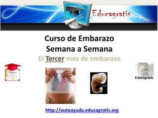 Curso de Embarazo
Semana a Semana
El Tercer mes de embarazo
http://autoayuda.educagratis.org
 