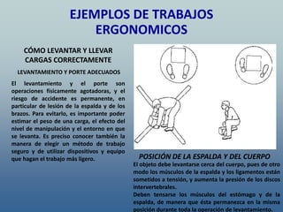 CÓMO LEVANTAR Y LLEVAR
CARGAS CORRECTAMENTE
LEVANTAMIENTO Y PORTE ADECUADOS
El levantamiento y el porte son
operaciones físicamente agotadoras, y el
riesgo de accidente es permanente, en
particular de lesión de la espalda y de los
brazos. Para evitarlo, es importante poder
estimar el peso de una carga, el efecto del
nivel de manipulación y el entorno en que
se levanta. Es preciso conocer también la
manera de elegir un método de trabajo
seguro y de utilizar dispositivos y equipo
que hagan el trabajo más ligero. POSICIÓN DE LA ESPALDA Y DEL CUERPO
El objeto debe levantarse cerca del cuerpo, pues de otro
modo los músculos de la espalda y los ligamentos están
sometidos a tensión, y aumenta la presión de los discos
intervertebrales.
Deben tensarse los músculos del estómago y de la
espalda, de manera que ésta permanezca en la misma
posición durante toda la operación de levantamiento.
EJEMPLOS DE TRABAJOS
ERGONOMICOS
 