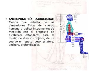 • ANTROPOMETRÍA ESTRUCTURAL:
Ciencia que estudia de las
dimensiones físicas del cuerpo
humano, al aplicar instrumentos de
medición con el propósito de
establecer estándares para el
diseño de diversos objetos, de un
cuerpo en reposo: peso, estatura,
anchura, profundidades.
68.1
74.8
82.0
78.5
85.5
93.0
39.0
44.6
50.3
45.4
50.6
56.2
56.5
61.6
68.0
21.7
24.6
27.6
20.2
22.6
25.1
 