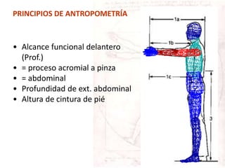 • Alcance funcional delantero
(Prof.)
• = proceso acromial a pinza
• = abdominal
• Profundidad de ext. abdominal
• Altura de cintura de pié
PRINCIPIOS DE ANTROPOMETRÍA
 