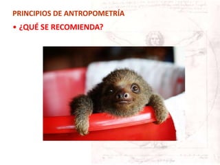 • ¿QUÉ SE RECOMIENDA?
PRINCIPIOS DE ANTROPOMETRÍA
 