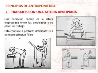 Una condición común es la altura
inapropiada entre los empleados y su
plano de trabajo.
Esto conduce a posturas deficientes y a
un mayo esfuerzo físico
PRINCIPIOS DE ANTROPOMETRÍA
2. TRABAJOS CON UNA ALTURA APROPIADA
 