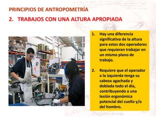 1. Hay una diferencia
significativa de la altura
para estos dos operadores
que requieran trabajar en
un mismo plano de
trabajo.
2. Requiere que el operador
a la izquierda tenga su
cabeza agachada y
doblada todo el día,
contribuyendo a una
lesión ergonómica
potencial del cuello y/o
del hombro.
PRINCIPIOS DE ANTROPOMETRÍA
2. TRABAJOS CON UNA ALTURA APROPIADA
 
