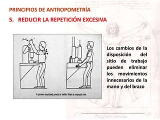 Los cambios de la
disposición del
sitio de trabajo
pueden eliminar
los movimientos
innecesarios de la
mano y del brazo
PRINCIPIOS DE ANTROPOMETRÍA
5. REDUCIR LA REPETICIÓN EXCESIVA
 
