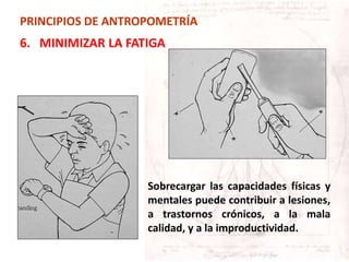Sobrecargar las capacidades físicas y
mentales puede contribuir a lesiones,
a trastornos crónicos, a la mala
calidad, y a la improductividad.
PRINCIPIOS DE ANTROPOMETRÍA
6. MINIMIZAR LA FATIGA
 