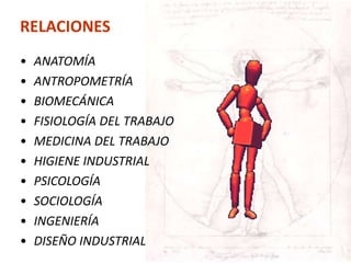 • ANATOMÍA
• ANTROPOMETRÍA
• BIOMECÁNICA
• FISIOLOGÍA DEL TRABAJO
• MEDICINA DEL TRABAJO
• HIGIENE INDUSTRIAL
• PSICOLOGÍA
• SOCIOLOGÍA
• INGENIERÍA
• DISEÑO INDUSTRIAL
RELACIONES
 