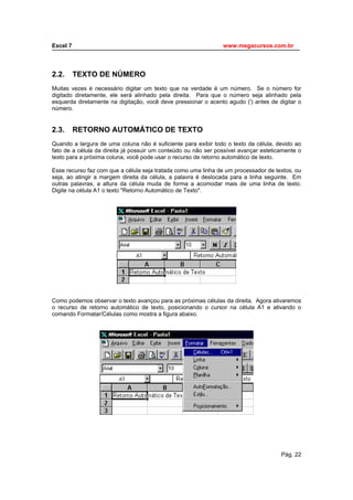 Este arquivo compõe a coletânea STC - www.trabalheemcasaoverdadeiro.com.br
Excel 7                                              www.megacursos.com.br
_____________________________________________________________________________



2.2.   TEXTO DE NÚMERO
Muitas vezes é necessário digitar um texto que na verdade é um número. Se o número for
digitado diretamente, ele será alinhado pela direita. Para que o número seja alinhado pela
esquerda diretamente na digitação, você deve pressionar o acento agudo (') antes de digitar o
número.


2.3.   RETORNO AUTOMÁTICO DE TEXTO
Quando a largura de uma coluna não é suficiente para exibir todo o texto da célula, devido ao
fato de a célula da direita já possuir um conteúdo ou não ser possível avançar esteticamente o
texto para a próxima coluna, você pode usar o recurso de retorno automático de texto.

Esse recurso faz com que a célula seja tratada como uma linha de um processador de textos, ou
seja, ao atingir a margem direita da célula, a palavra é deslocada para a linha seguinte. Em
outras palavras, a altura da célula muda de forma a acomodar mais de uma linha de texto.
Digite na célula A1 o texto "Retorno Automático de Texto".




Como podemos observar o texto avançou para as próximas células da direita. Agora ativaremos
o recurso de retorno automático de texto, posicionando o cursor na célula A1 e ativando o
comando Formatar/Células como mostra a figura abaixo.




                                                                                      Pág. 22
 