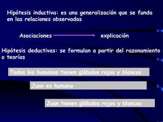 Hipótesis inductiva: es una generalización que se funda
en las relaciones observadas
Asociaciones explicación
Hipótesis deductivas: se formulan a partir del razonamiento
o teorías
Todos los humanos tienen glóbulos rojos y blancos
Juan es humano
Juan tienen glóbulos rojos y blancos
 