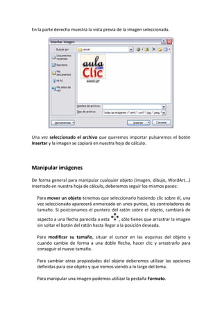 En la parte derecha muestra la vista previa de la imagen seleccionada.




Una vez seleccionado el archivo que queremos importar pulsaremos el botón
Insertar y la imagen se copiará en nuestra hoja de cálculo.




Manipular imágenes

De forma general para manipular cualquier objeto (imagen, dibujo, WordArt...)
insertado en nuestra hoja de cálculo, deberemos seguir los mismos pasos:

  Para mover un objeto tenemos que seleccionarlo haciendo clic sobre él, una
  vez seleccionado aparecerá enmarcado en unos puntos, los controladores de
  tamaño. Si posicionamos el puntero del ratón sobre el objeto, cambiará de
  aspecto a una flecha parecida a esta        , sólo tienes que arrastrar la imagen
  sin soltar el botón del ratón hasta llegar a la posición deseada.

  Para modificar su tamaño, situar el cursor en las esquinas del objeto y
  cuando cambie de forma a una doble flecha, hacer clic y arrastrarlo para
  conseguir el nuevo tamaño.

  Para cambiar otras propiedades del objeto deberemos utilizar las opciones
  definidas para ese objeto y que iremos viendo a lo largo del tema.

  Para manipular una imagen podemos utilizar la pestaña Formato.
 