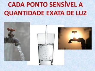 CADA PONTO SENSÍVEL A
QUANTIDADE EXATA DE LUZ
 