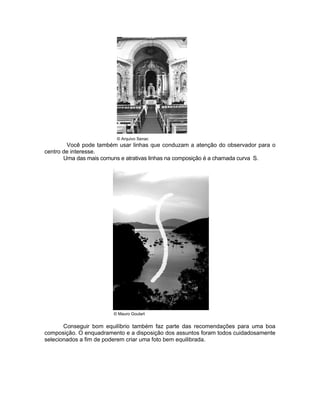 © Arquivo Senac
        Você pode também usar linhas que conduzam a atenção do observador para o
centro de interesse.
       Uma das mais comuns e atrativas linhas na composição é a chamada curva S.




                        © Mauro Goulart


       Conseguir bom equilíbrio também faz parte das recomendações para uma boa
composição. O enquadramento e a disposição dos assuntos foram todos cuidadosamente
selecionados a fim de poderem criar uma foto bem equilibrada.
 