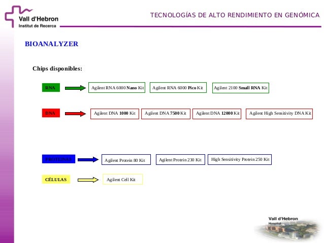 Bioanalyzer small rna manual meat