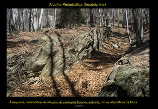 A Linha Periadriática (Insubric line)

À esquerda, metamórficas de alto grau do continente Europeu; à direita, rochas ultramáficas da África
CURSO DE GEOTECTÔNICA - GEÓLOGO JOSÉ
OLIVEIRA

 